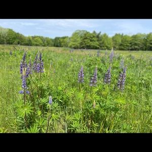 Meet your Posher, Cathryn